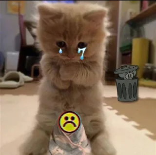 🥺