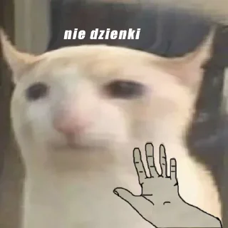 🙋