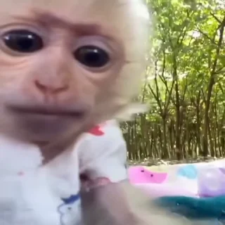 😋