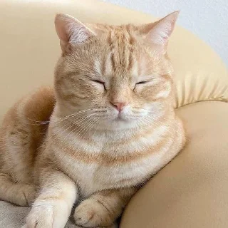 🥱
