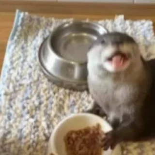 🍜