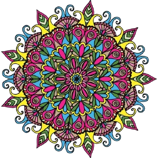 🎨