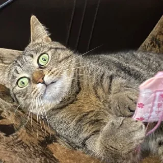 🤭