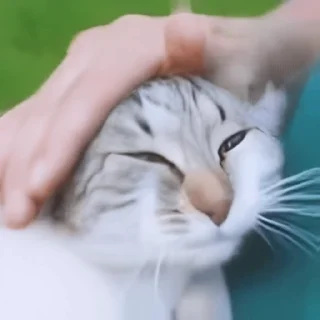 🥰
