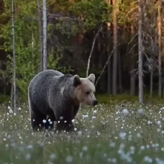 🤩