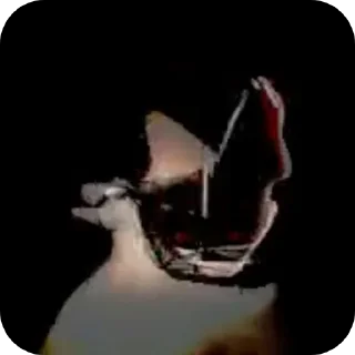 ☠
