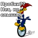 🚴‍♀️
