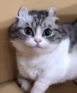 🙃