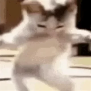 😋