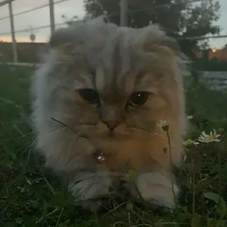 ☹️