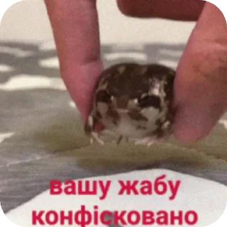 ✋