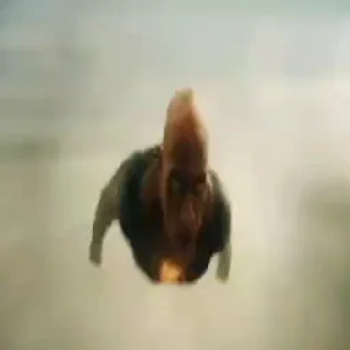 🏃