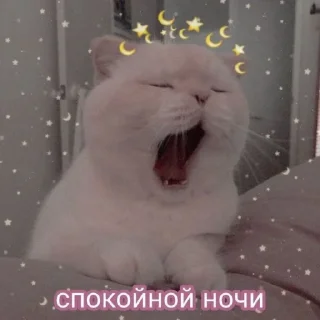 🥱