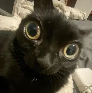 😳