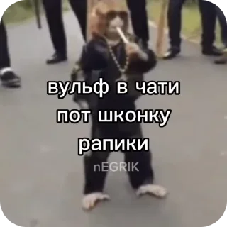 🌟