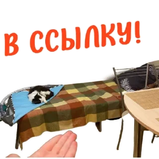 👍