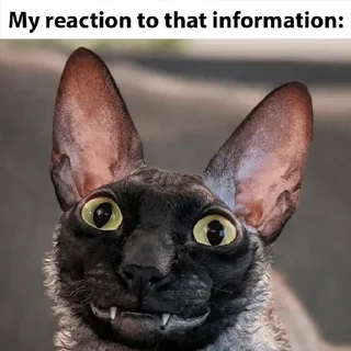 🥴