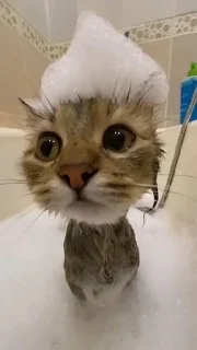 🛀
