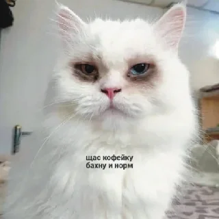☕️