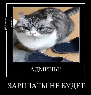 ☺️