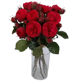 🌹
