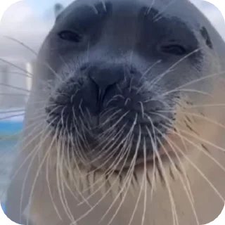 😑