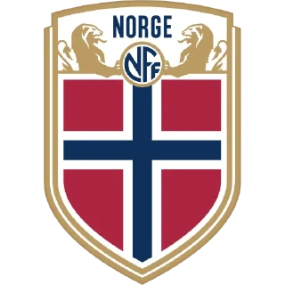 🇳🇴