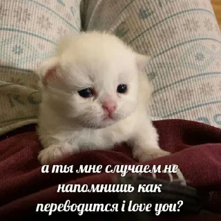 ❤️