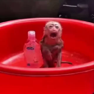 😱