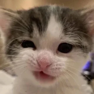 😉