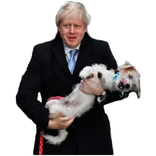 🐶