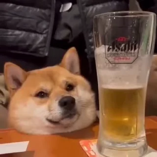 🍺