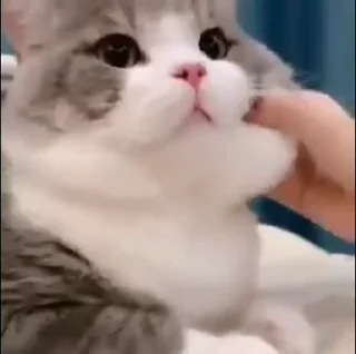 😃