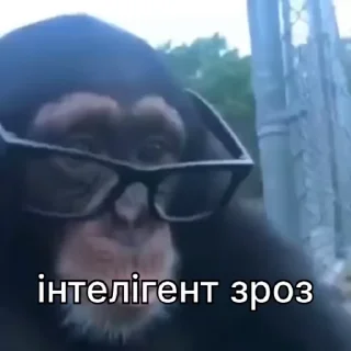 🤓