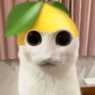 ☃️