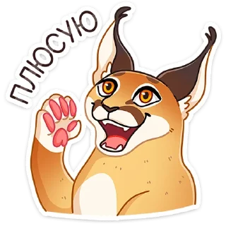 👍