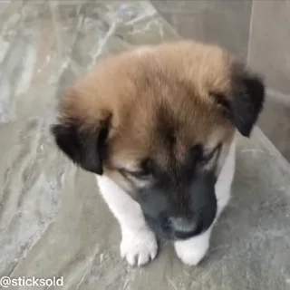 ❤️