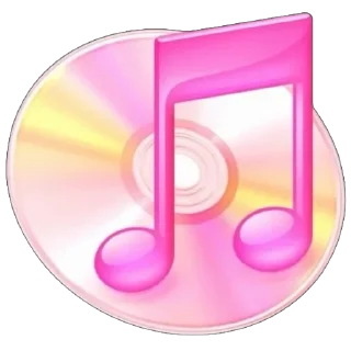 💿