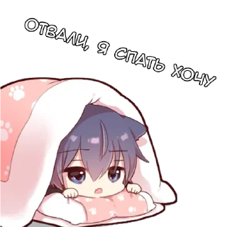 🛌