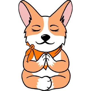 🧘‍♀️