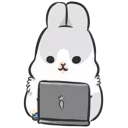 💻