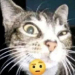 🤨