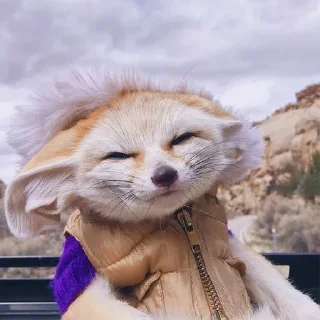😌
