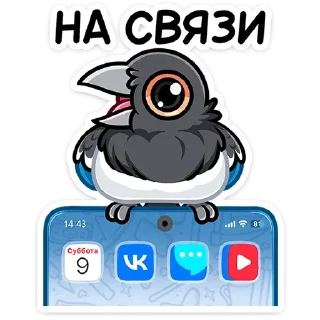 📱