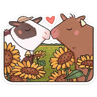 ❤️