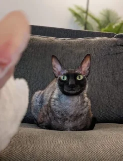 🤩