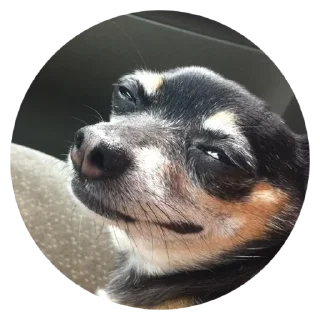 😏