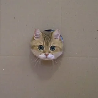 😺