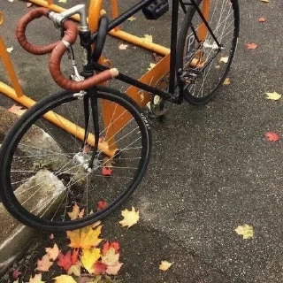 🍂