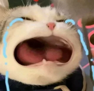 😭